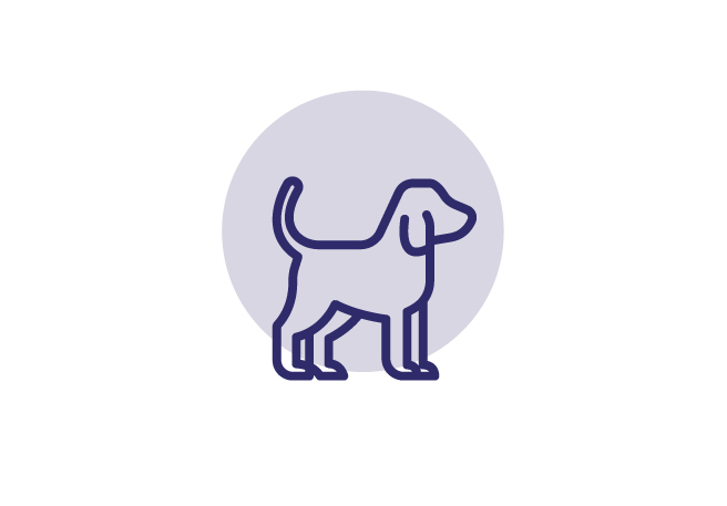 Icon Hund Schnupfen bei Allergien