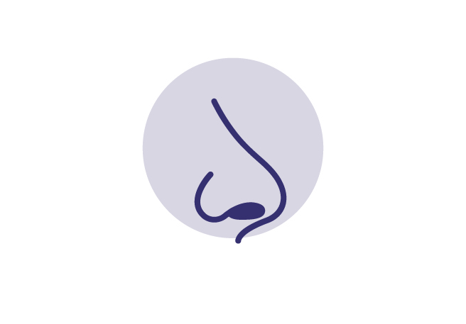 Icon Nase Schnupfen durch Sinusitis